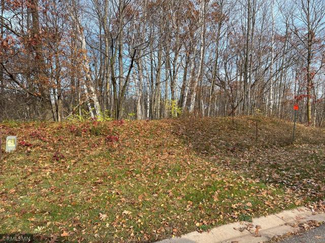 Land for sale in Luck, Wisconsin