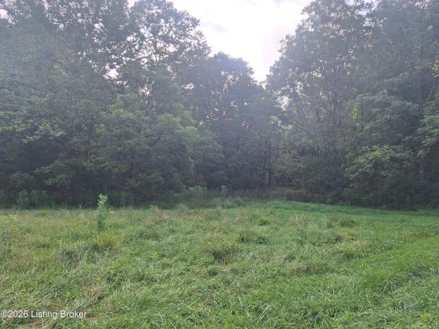 Land for sale in La Grange, Kentucky