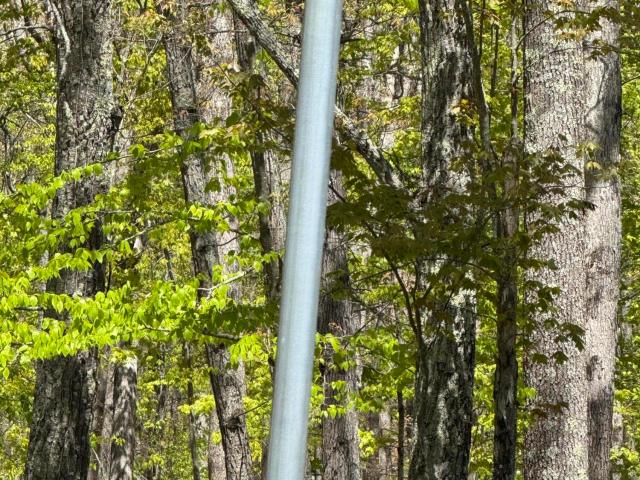 Land for sale in Beach Lake, Pennsylvania