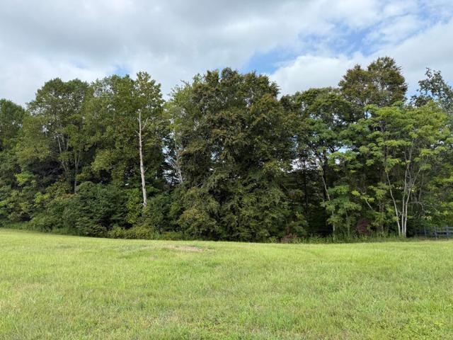 Land for sale in Russell Springs, Russell County