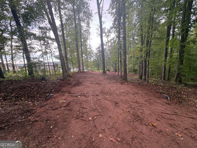 Land for sale in Sparta, Georgia