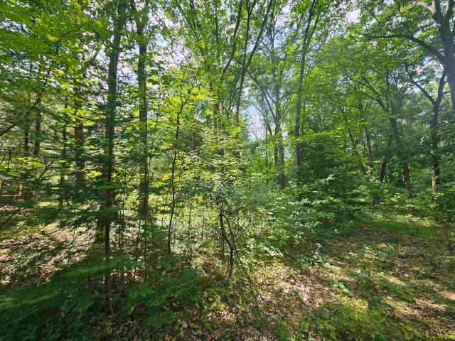 Land for sale in Clare, Michigan