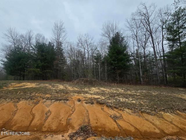 Land for sale in Tennessee
