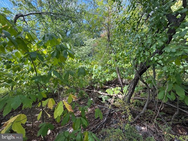 Land for sale in Susquehanna Township, Dauphin County