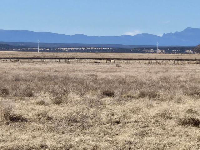 Land for sale in New Mexico