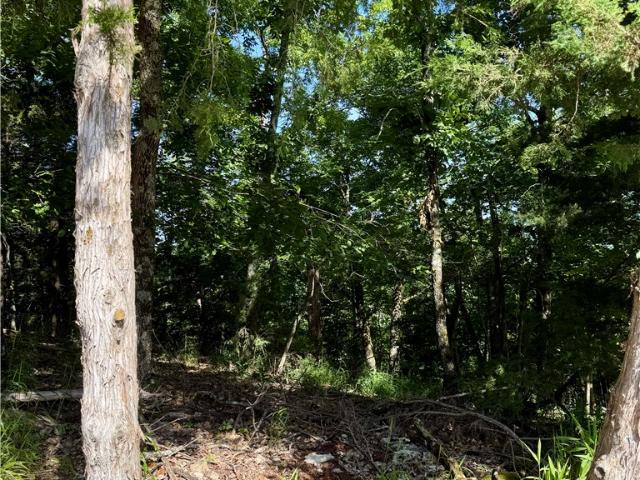 Land for sale in Ark