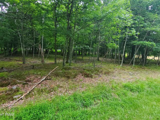 Land for sale in Pine Ridge, Lehman Township