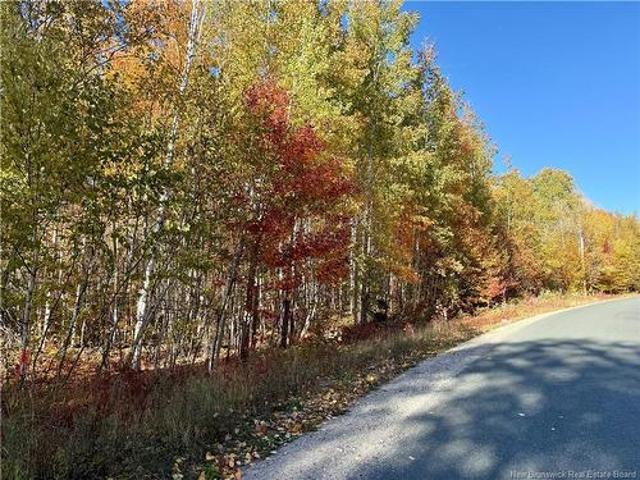 Land for sale in Whitney, New Brunswick