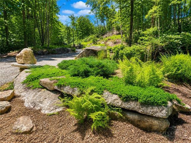 Land for sale in Avery, North Carolina