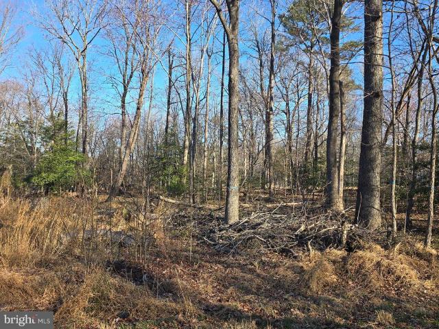 Land for sale in Virginia