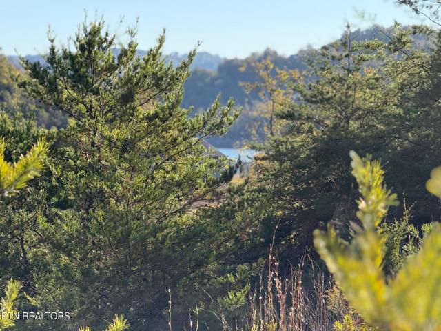 Land for sale in Landing at Norris Lake, Tazewell