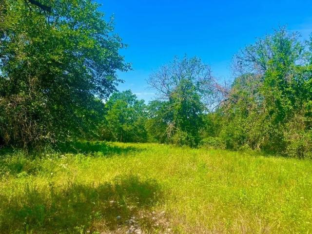 Land for sale in Parker, Texas
