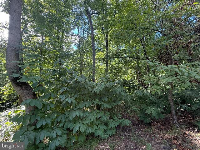 Land for sale in Susquehanna Township, Dauphin County