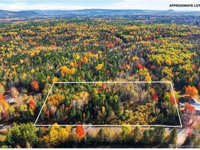 Land for sale in Petersville, New Brunswick