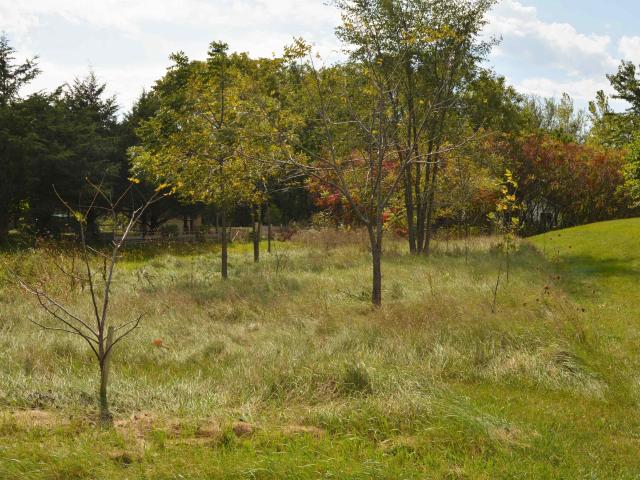Land for sale in Spring Green, Wisconsin