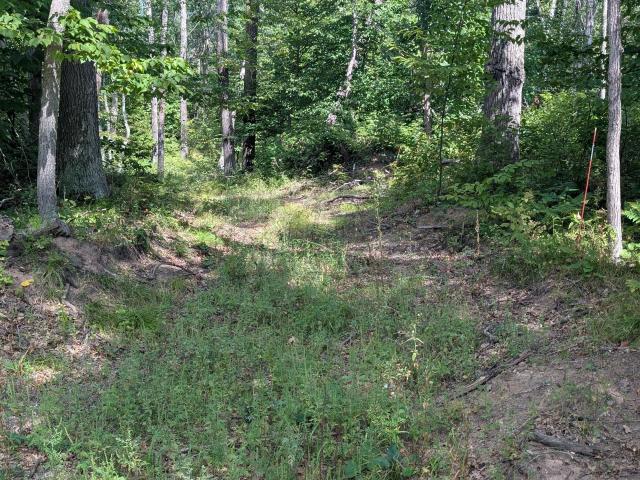 Land for sale in Crosslake, Minnesota
