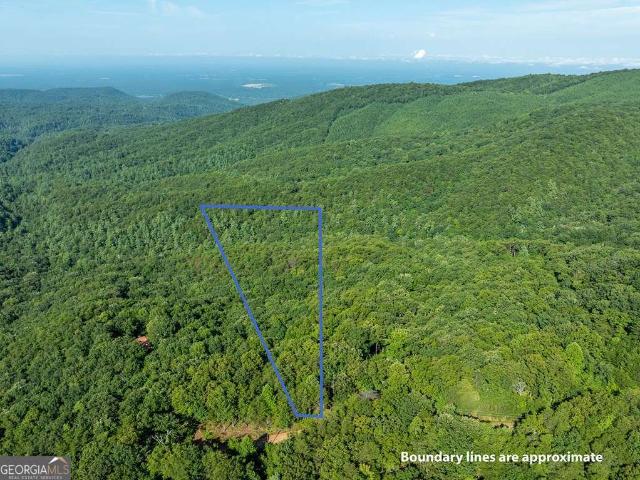 Land for sale in Gilmer, Georgia