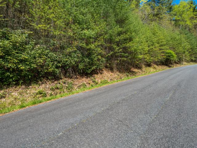 Land for sale in Tennessee