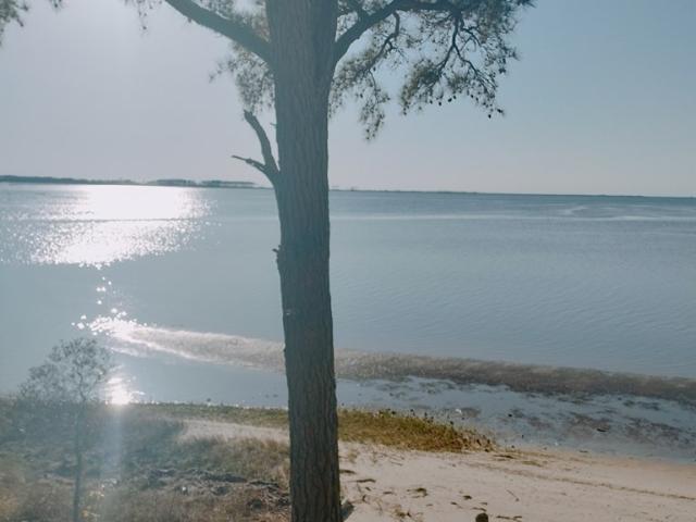 Land for sale in Virginia
