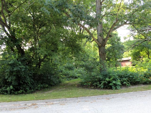 Land for sale in Mchenry, Illinois