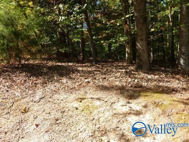 Land for sale in Guntersville, Alabama
