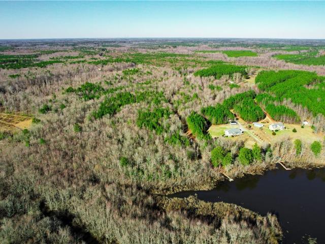 Land for sale in Virginia