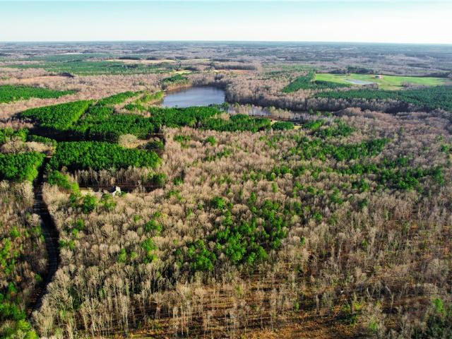 Land for sale in Virginia