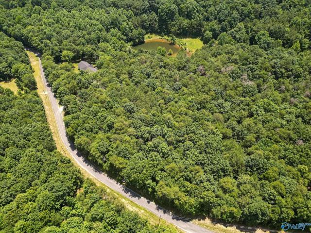 Land for sale in Flat Rock, Alabama