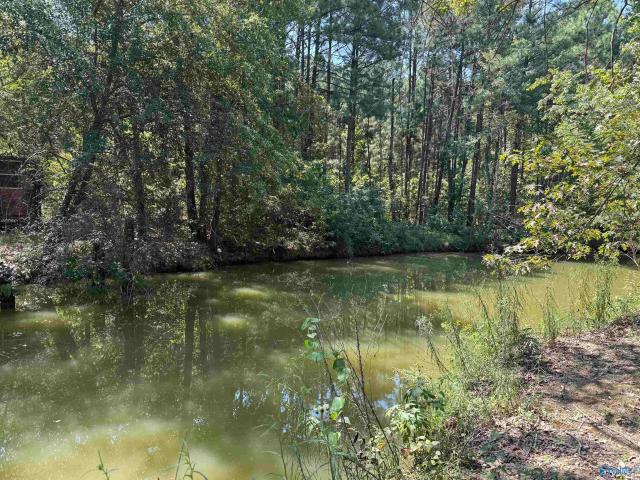 Land for sale in Centre, Cherokee County