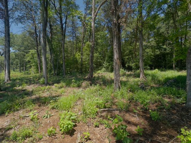 Land for sale in Leon, Texas