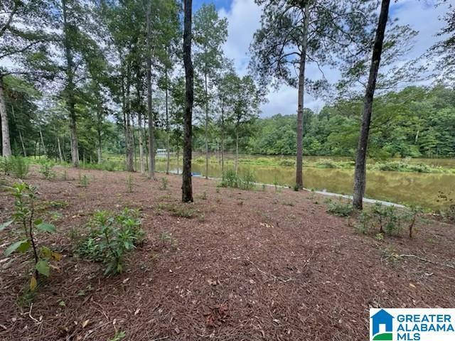 Land for sale in Woodland, Alabama