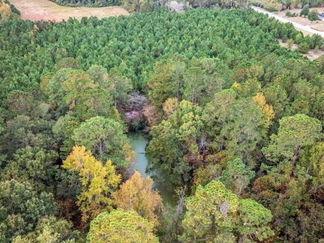 Land for sale in Nichols, South Carolina