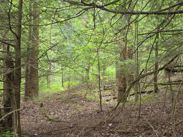 Land for sale in Sullivan, Pennsylvania