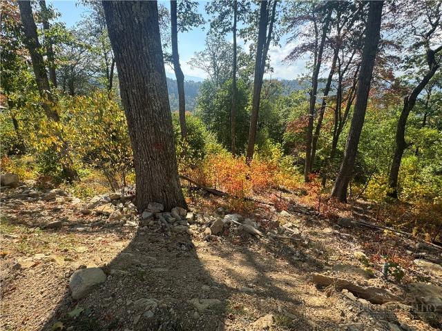 Land for sale in Elk Park, Avery County