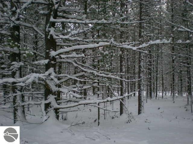 Land for sale in Empire, Michigan