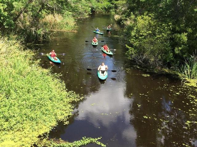 Land for sale in Abita Springs, Louisiana
