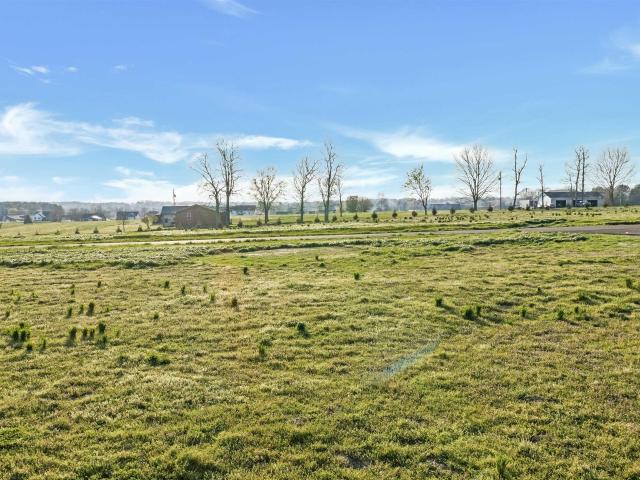 Land for sale in Rainsville, Alabama