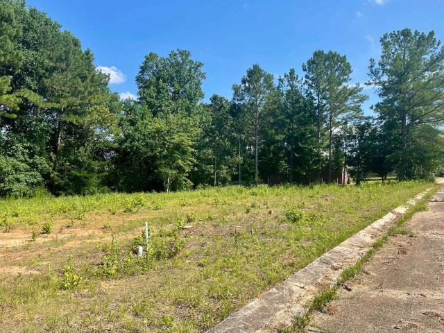 Land for sale in Iuka, Mississippi