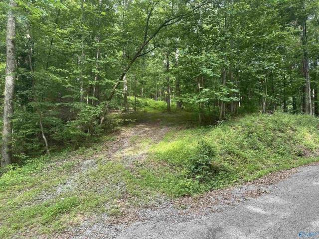 Land for sale in Owens Cross Roads Land for sale in Owens Cross Roads
