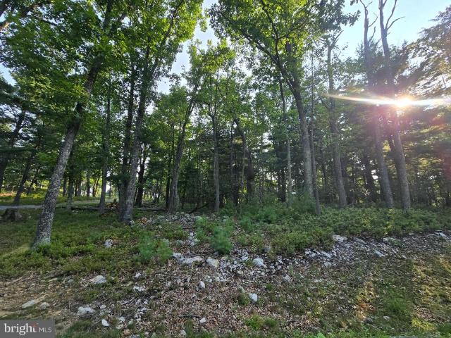 Land for sale in Franklin, West Virginia