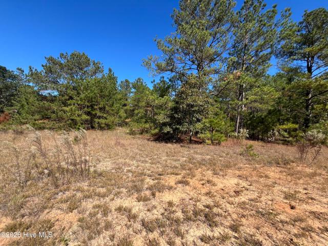 Land for sale in Avera, Jefferson County