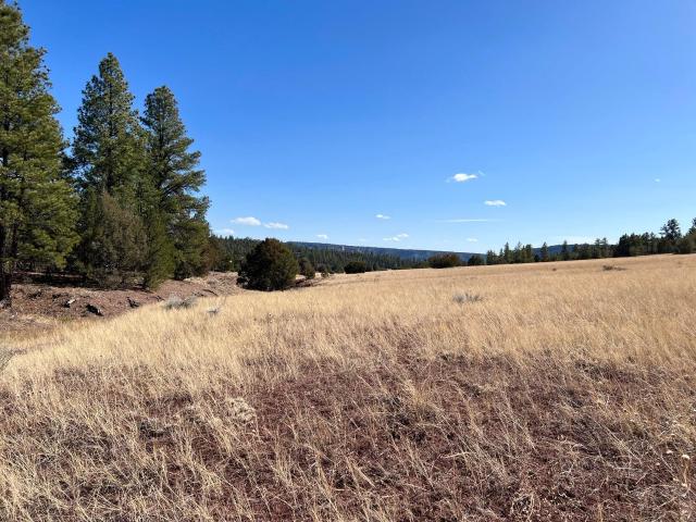 Land for sale in Ramah, New Mexico