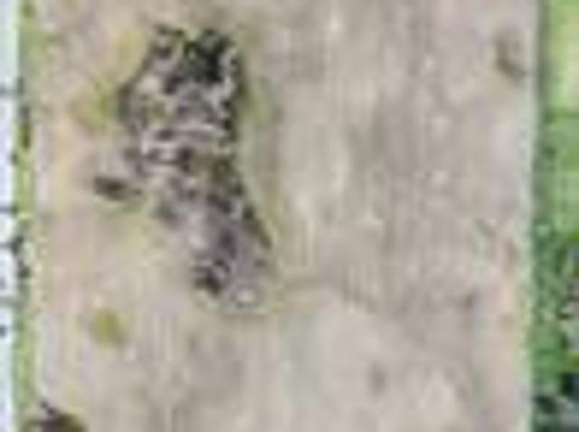 Land for sale in Lake Orion, Michigan