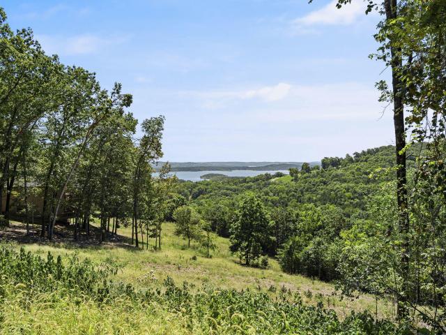 Land for sale in Stone, Missouri