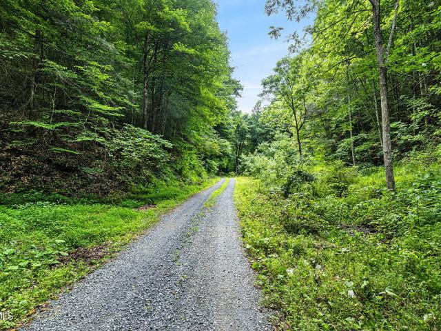 Land for sale in Virginia