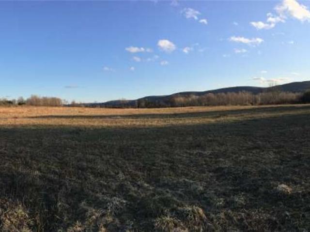 Land for sale in Village of Dryden, Town of Dryden