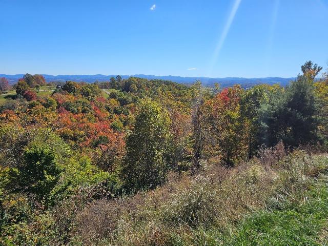 Land for sale in Virginia
