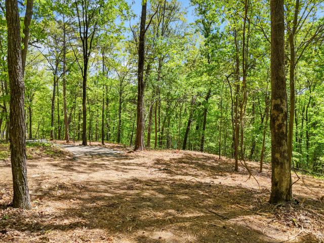 Land for sale in Tennessee