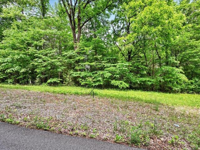 Land for sale in Falkville, Alabama