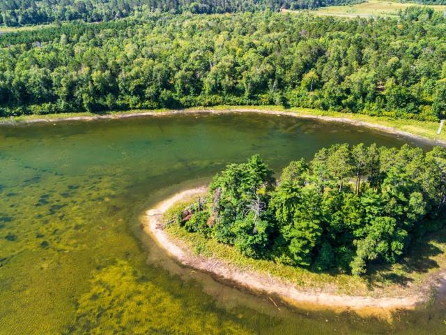Land for sale in Beltrami, Minnesota
